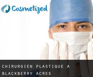 Chirurgien Plastique à Blackberry Acres