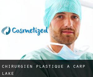 Chirurgien Plastique à Carp Lake