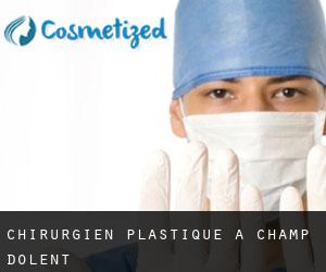 Chirurgien Plastique à Champ-Dolent