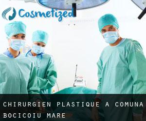 Chirurgien Plastique à Comuna Bocicoiu Mare