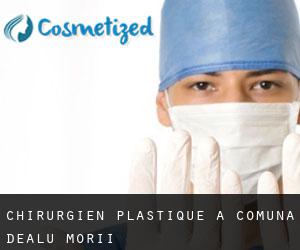 Chirurgien Plastique à Comuna Dealu Morii