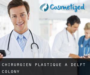 Chirurgien Plastique à Delft Colony