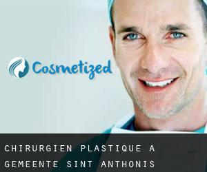 Chirurgien Plastique à Gemeente Sint Anthonis