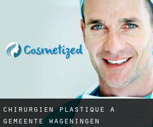 Chirurgien Plastique à Gemeente Wageningen