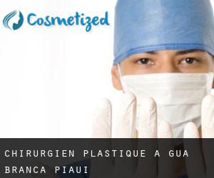 Chirurgien Plastique à Água Branca (Piauí)