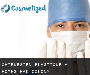 Chirurgien Plastique à Homestead Colony