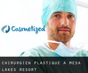 Chirurgien Plastique à Mesa Lakes Resort