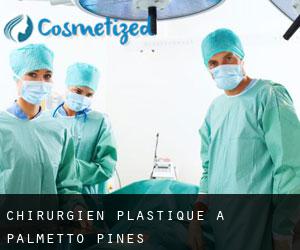 Chirurgien Plastique à Palmetto Pines