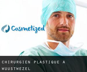 Chirurgien Plastique à Wuustwezel