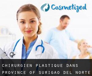 Chirurgien Plastique dans Province of Surigao del Norte par ville importante - page 1