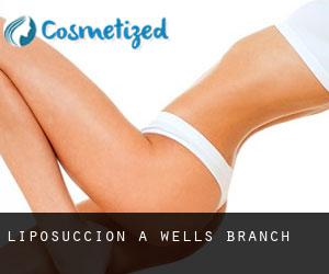 Liposuccion à Wells Branch