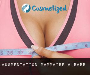 Augmentation mammaire à Babb