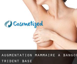 Augmentation mammaire à Bangor Trident Base