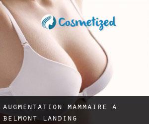 Augmentation mammaire à Belmont Landing