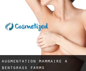 Augmentation mammaire à Bentgrass Farms