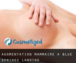 Augmentation mammaire à Blue Springs Landing
