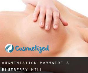 Augmentation mammaire à Blueberry Hill