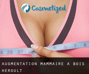Augmentation mammaire à Bois-Héroult