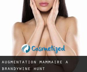 Augmentation mammaire à Brandywine Hunt