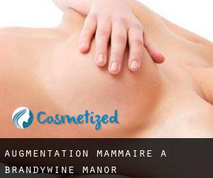 Augmentation mammaire à Brandywine Manor