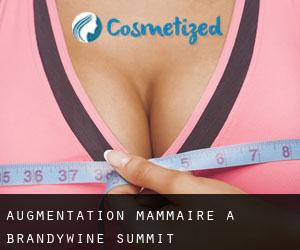 Augmentation mammaire à Brandywine Summit
