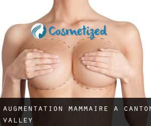 Augmentation mammaire à Canton Valley