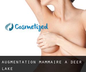 Augmentation mammaire à Deer Lake