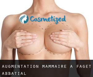 Augmentation mammaire à Faget-Abbatial