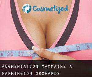 Augmentation mammaire à Farmington Orchards