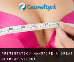 Augmentation mammaire à Great Meadows-Vienna
