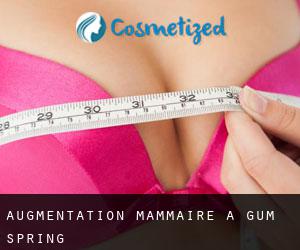 Augmentation mammaire à Gum Spring