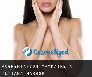 Augmentation mammaire à Indiana Harbor