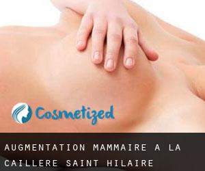 Augmentation mammaire à La Caillère-Saint-Hilaire