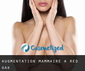 Augmentation mammaire à Red Oak