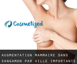 Augmentation mammaire dans Sangamon par ville importante - page 2