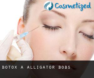 Botox à Alligator Bobs