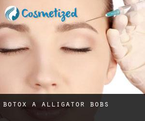 Botox à Alligator Bobs