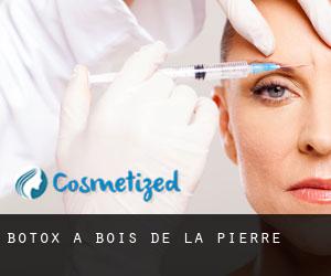 Botox à Bois-de-la-Pierre