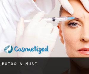 Botox à Muse