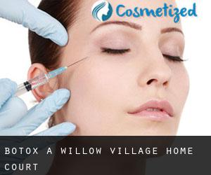 Botox à Willow Village Home Court