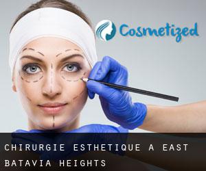Chirurgie Esthétique à East Batavia Heights