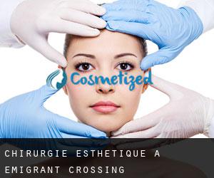Chirurgie Esthétique à Emigrant Crossing