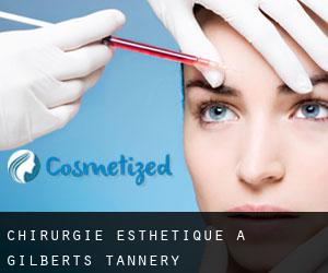 Chirurgie Esthétique à Gilberts Tannery