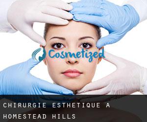 Chirurgie Esthétique à Homestead Hills