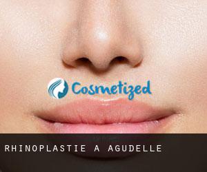 Rhinoplastie à Agudelle