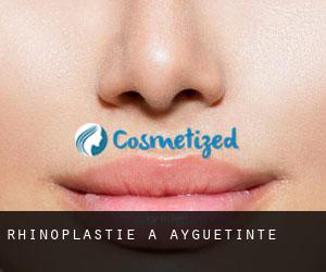 Rhinoplastie à Ayguetinte