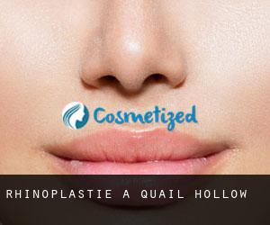 Rhinoplastie à Quail Hollow