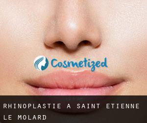 Rhinoplastie à Saint-Étienne-le-Molard