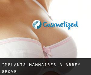 Implants mammaires à Abbey Grove