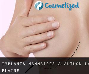 Implants mammaires à Authon-la-Plaine